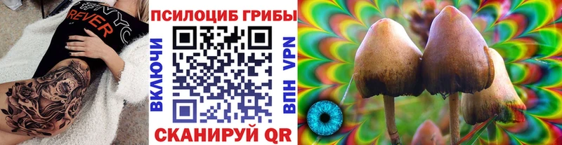 Купить Еманжелинск Галлюциногенные грибы MAGIC MUSHROOMS